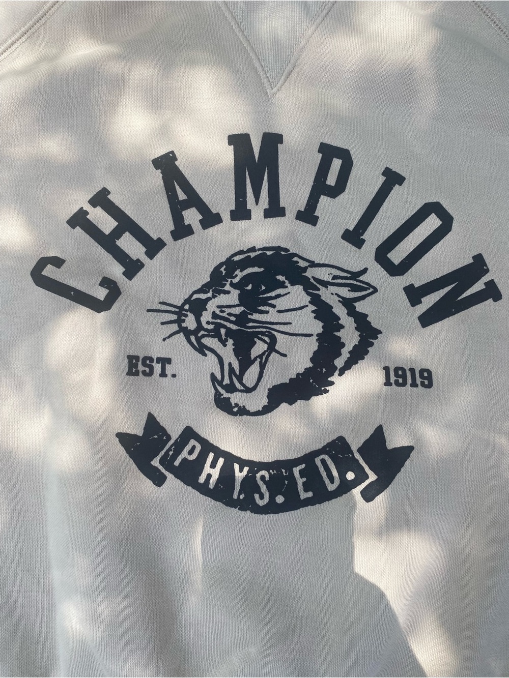 Champion Men’s Crewneck Sweatshirt in Olive Green with Black Graphic - Picture 2 of 4